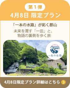 4月8日 限定プラン