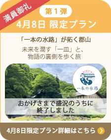4月8日 限定プラン